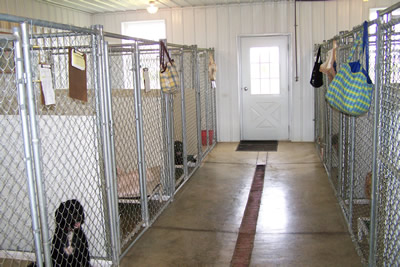 Camp Creek Farm Dog Kennel Located In Pike County Ohio